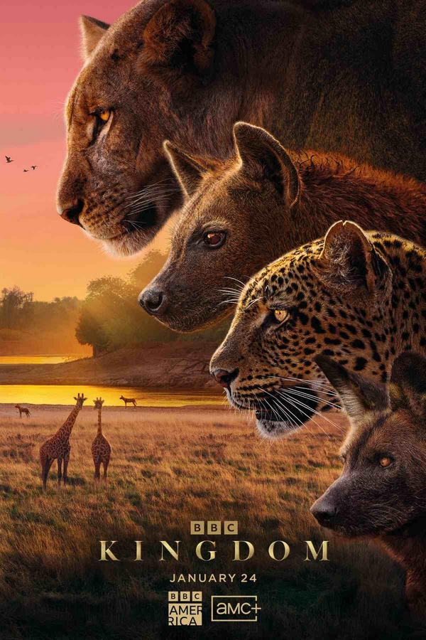 Kingdom - S1